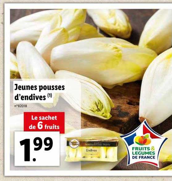 jeunes pousses d'endives