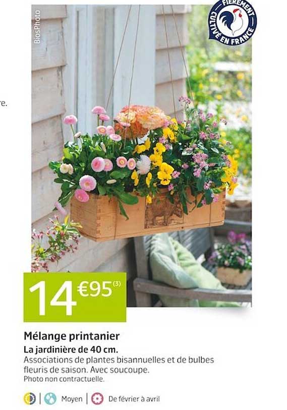 Mélange Printanier