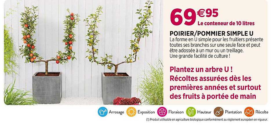 poirier pommier simple u