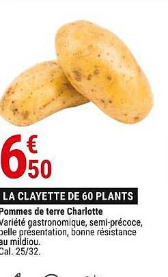 pommes de terre charlotte