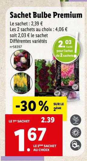 sachet bulbe premium