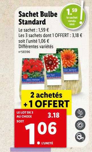 sachet bulbe standard