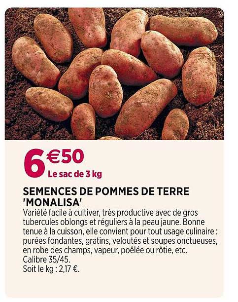 semences de pommes de terre 'monalisa'