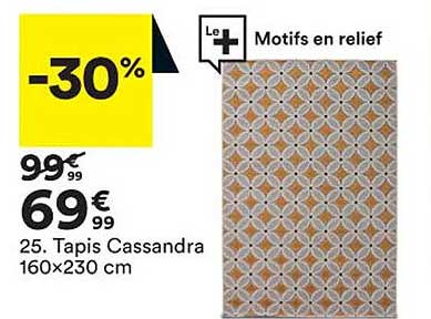 tapis cassandra 160 x 230 cm