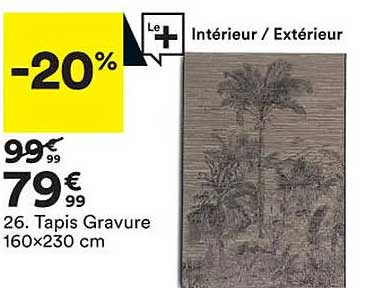 tapis gravure 160 x 230 cm