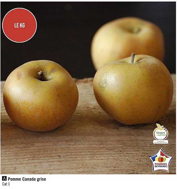 pomme canada grise