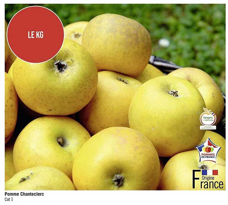 pomme chanteclerc