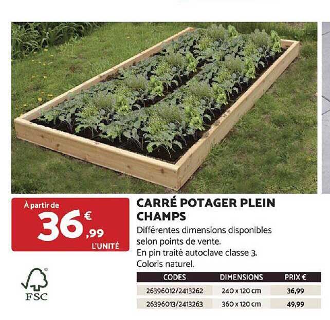 carré potager plein champs