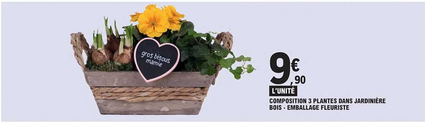 composition 3 plantes dans jardinière bois - emballage fleuriste