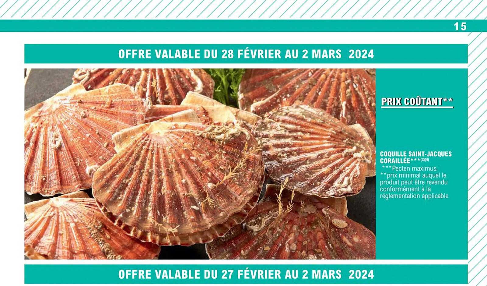 coquille Saint-Jacques coraillée