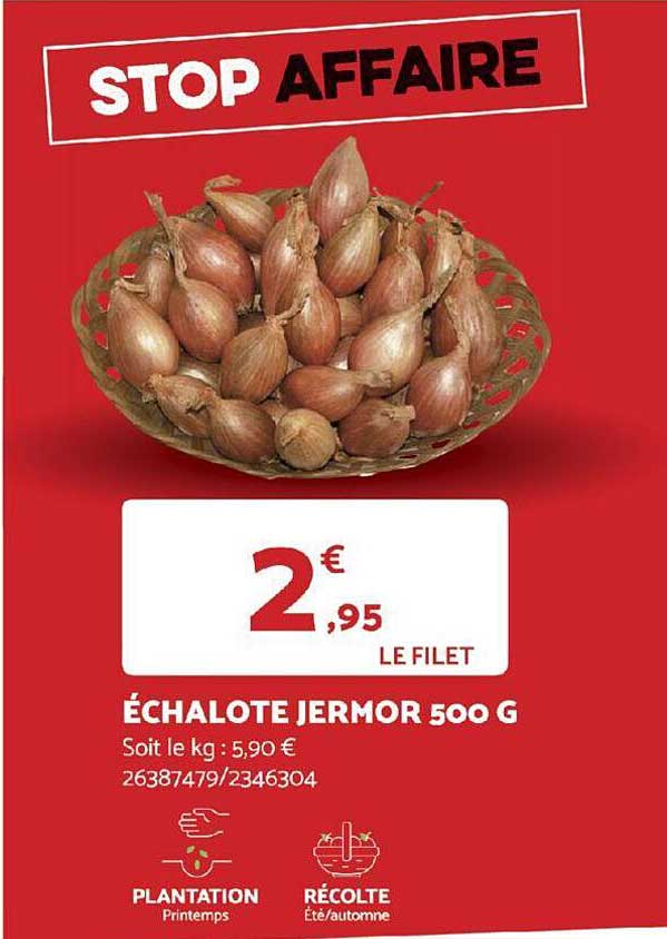 échalote jermor 500g