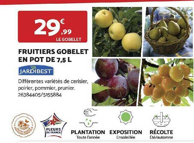 Fruitiers Gobelet En Pot De 7,5 L Jardibest