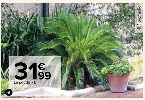 Le Pot De 7 L Floramédia