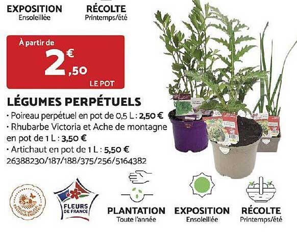 Légumes Perpétuels