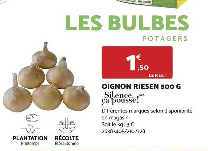 oignon riesen 500 g silence ça pousse!