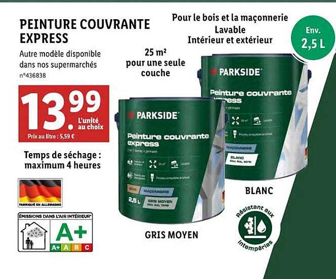 Peinture Couvrante Express