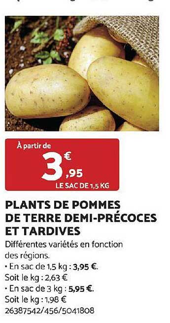 plants de pommes de terre demi-précoces et tardives