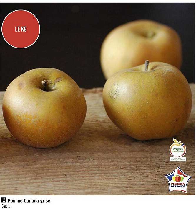 pomme canada grise