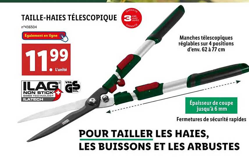 taille-haies télescopique