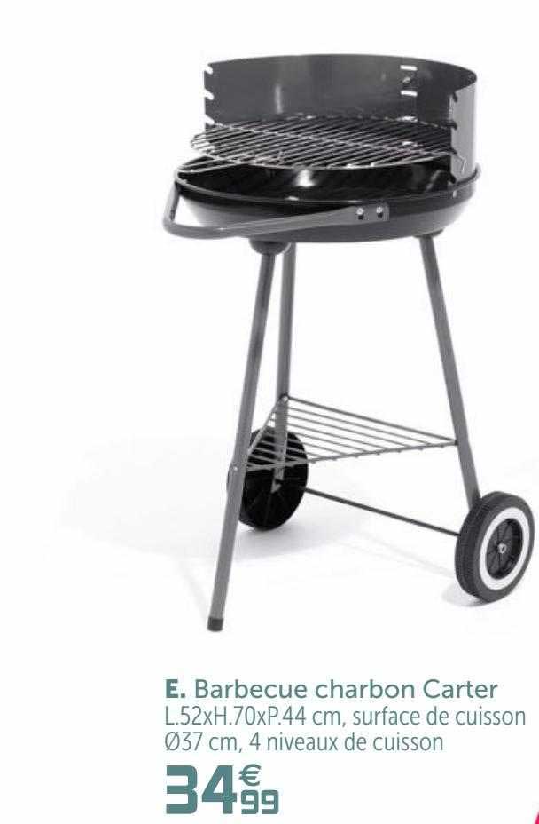 barbecue charbon carter