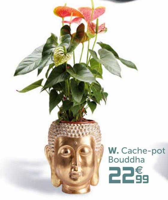 cache-pot bouddha