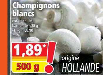 Champignons Blancs