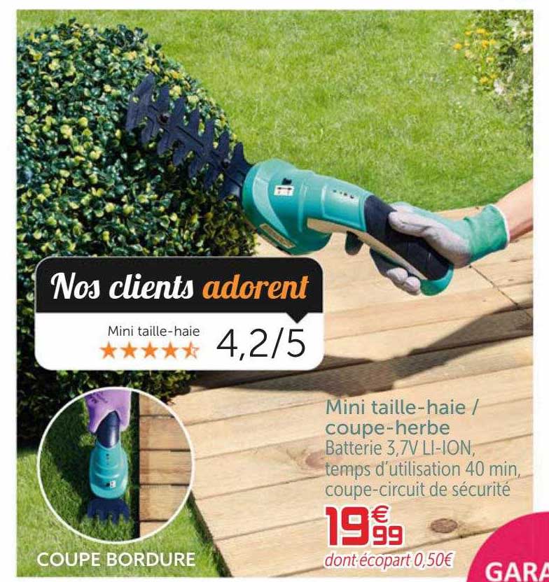 mini taille-haie - coupe-herbe
