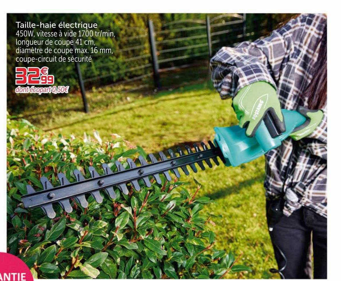 taille-haies électrique