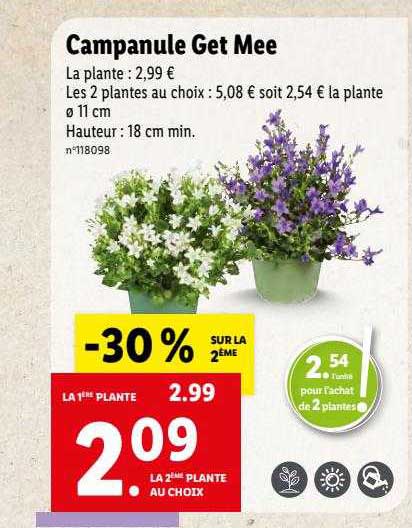 campanule get mee