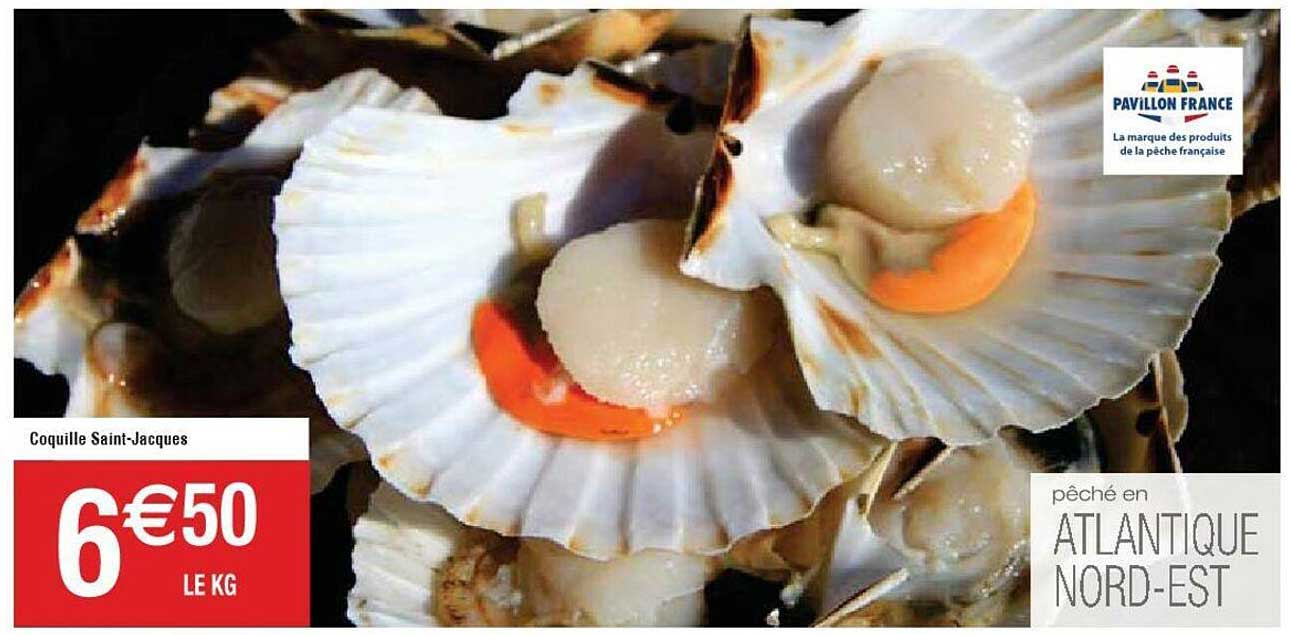 coquille saint-jacques