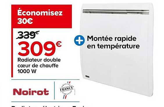 radiateur double cœur de chauffe 1000 w noirot