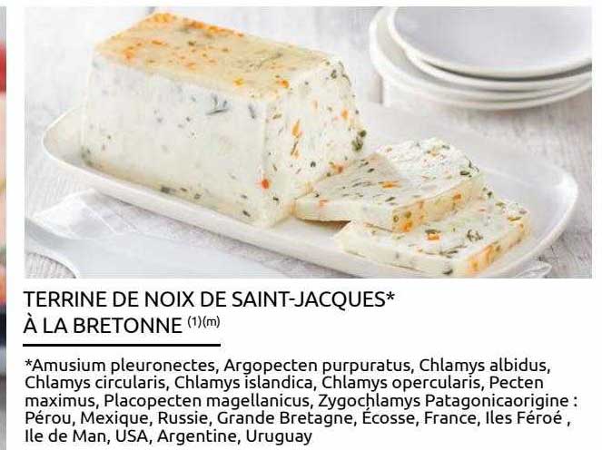 terrine de noix de saint-jacques à la bretonne