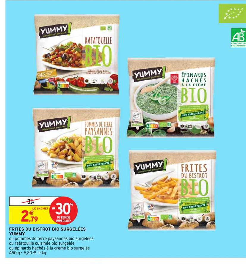 frites du bistrot bio surgelées yummy