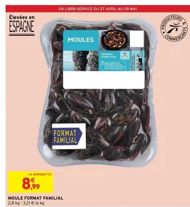Moule Format Familial