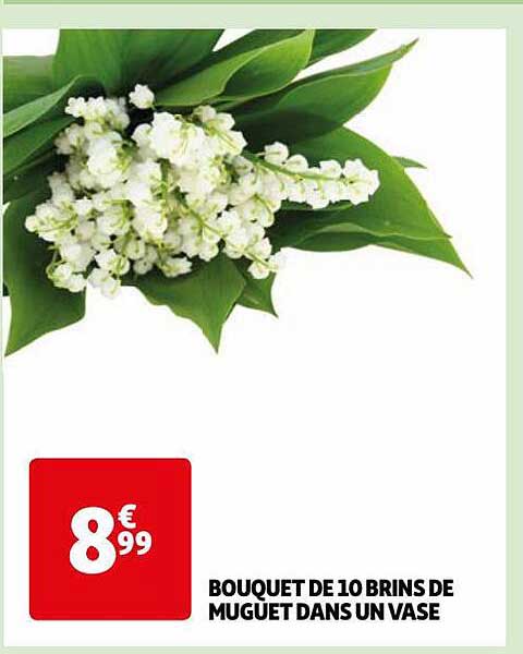 bouquet de 10 brins de muguet dans un vase