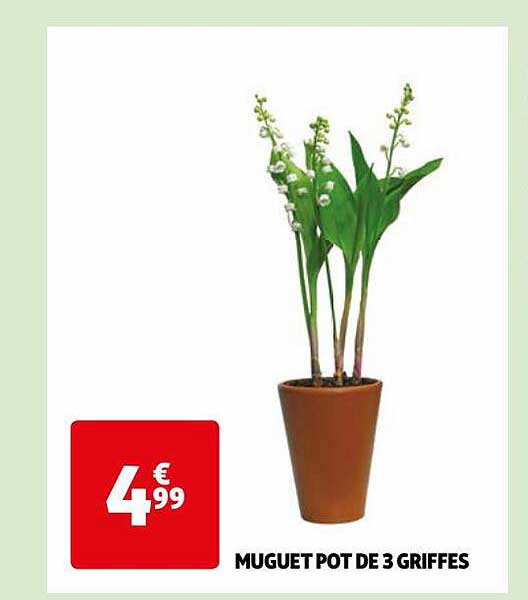 muguet pot de 3 griffes