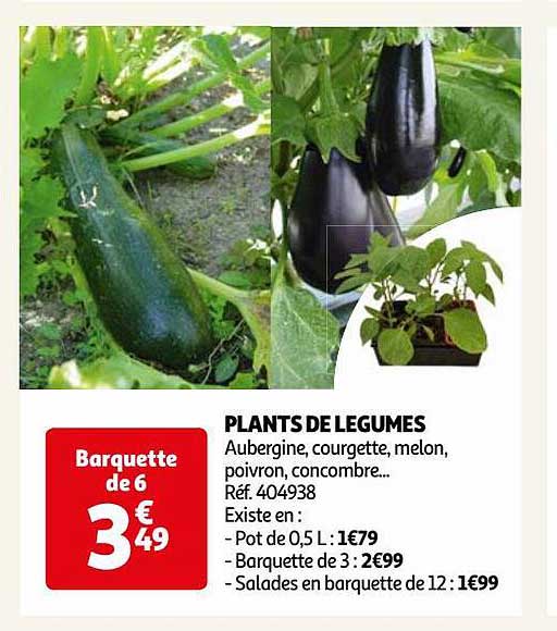 plants de légumes