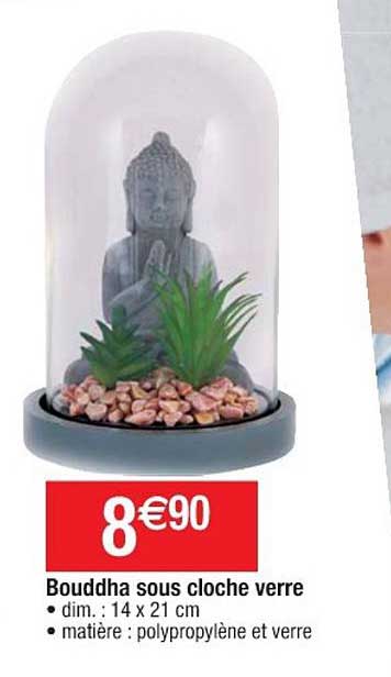 Bouddha Sous Cloche Verre