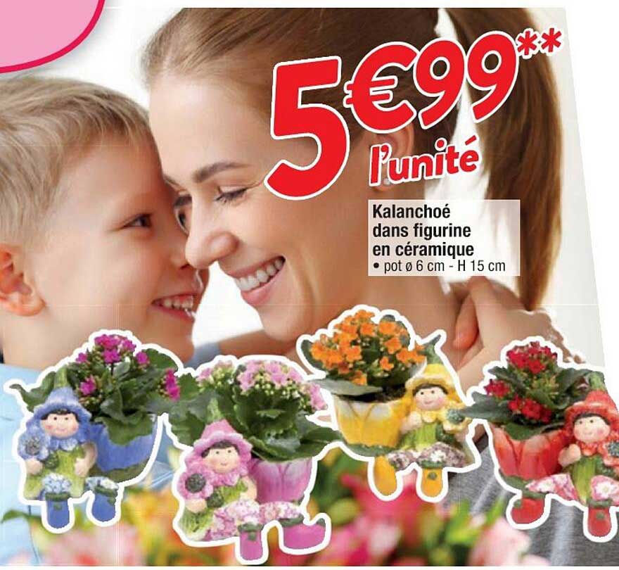 kalanchoé dans figurine en céramique