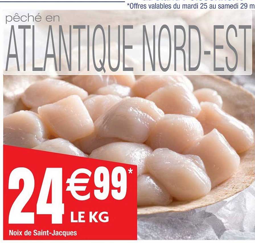 noix de saint-jacques