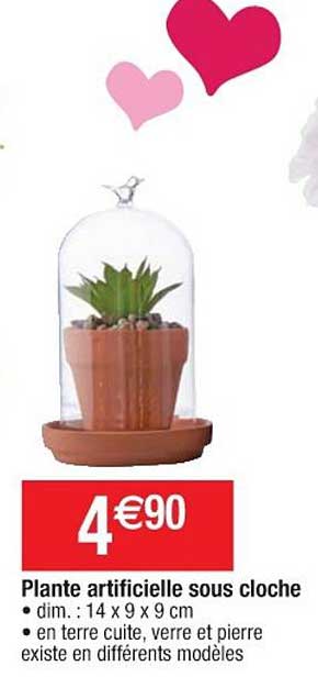 plante artificielle sous cloche