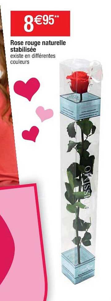 rose rouge naturelle stabilisée