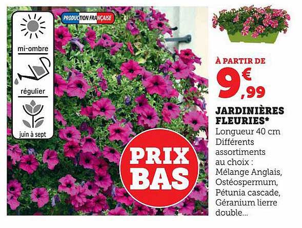 jardinières fleuries