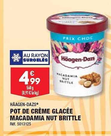 pot de crème glacée macadamia nut brittle häagen-dazs