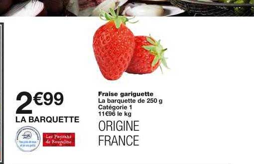 fraise gariguette