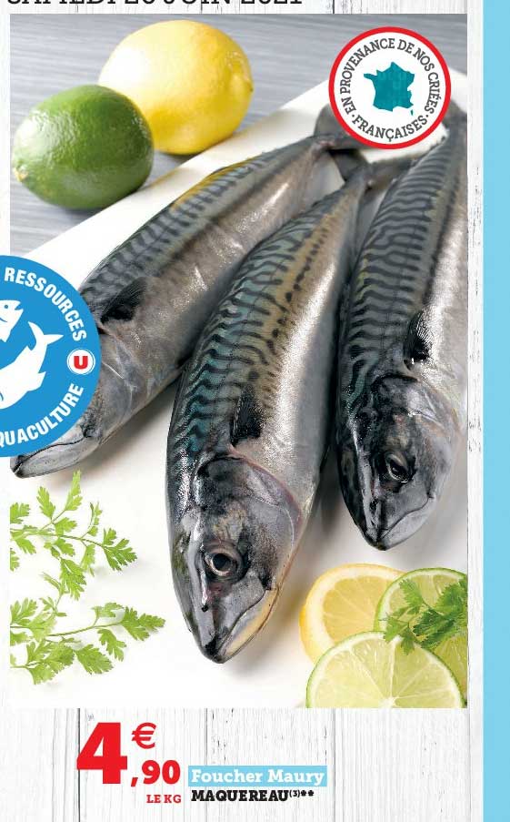 maquereau foucher maury