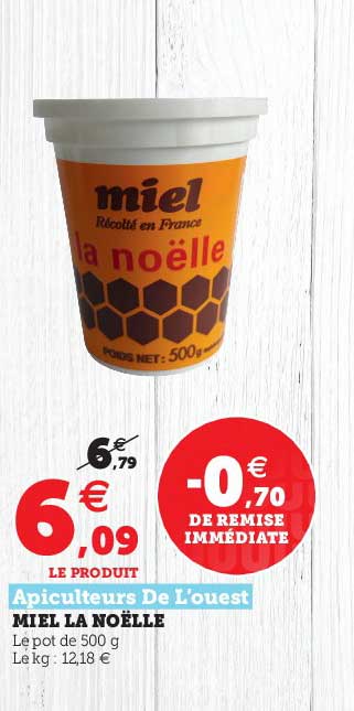 miel et noëlle apiculteurs de l'ouest