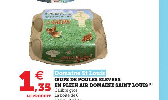 oeufs de poules élevées en plein air domaine saint louis