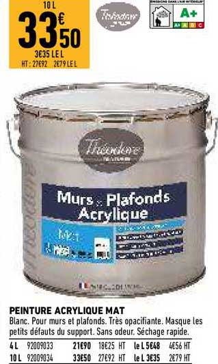 Peinture Acrylique Mat Théodore