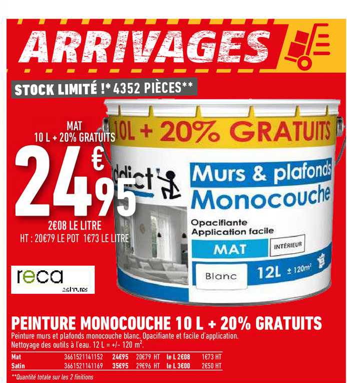 peinture monocouche 10 l + 20% gratuits